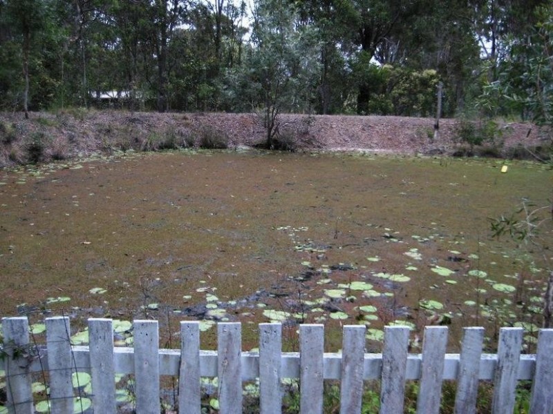 29 Lord Street, Sunshine Acres QLD 4655