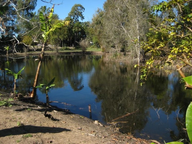 5 Palm Lodge Drive, Craignish QLD 4655