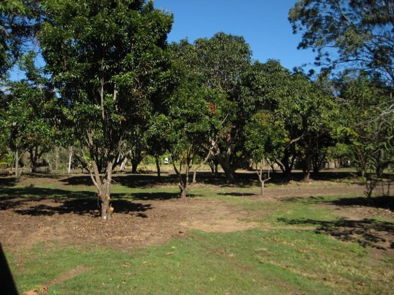 5 Palm Lodge Drive, Craignish QLD 4655