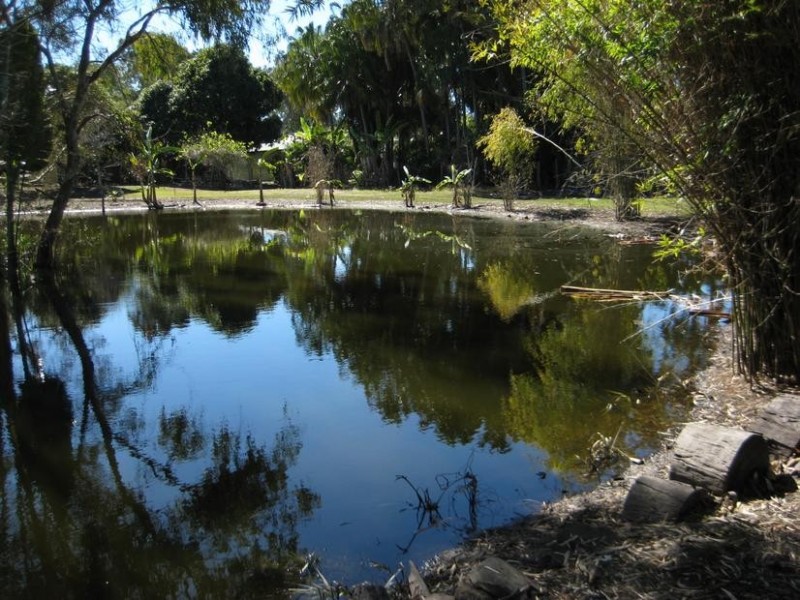 5 Palm Lodge Drive, Craignish QLD 4655