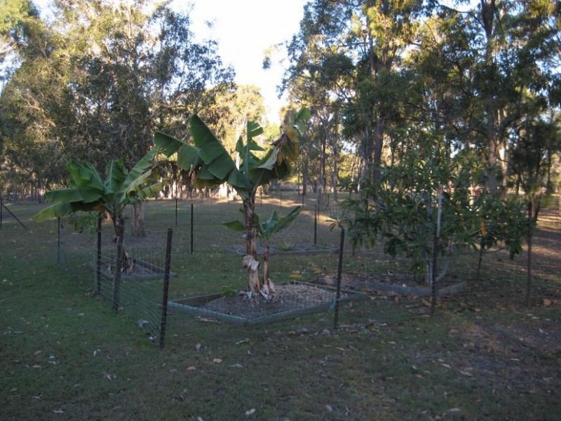 87 Condor Drive, Sunshine Acres QLD 4655