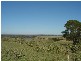 Kawungan QLD 4655