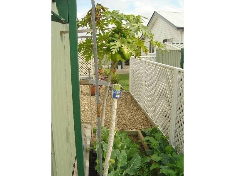 Pialba QLD 4655