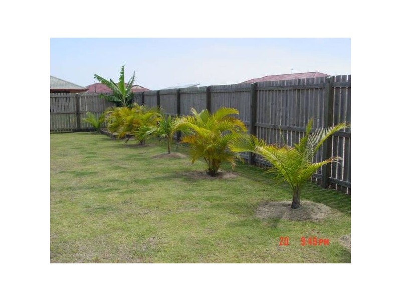 Eli Waters QLD 4655