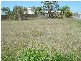 Urangan QLD 4655