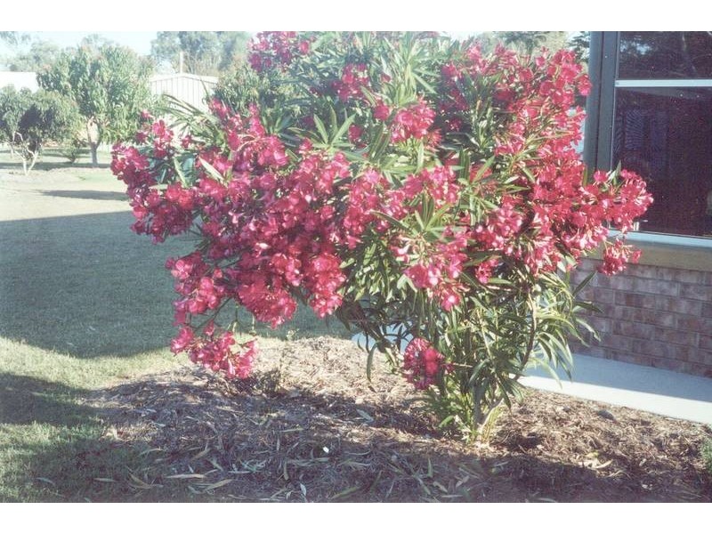 Burrum Heads QLD 4659