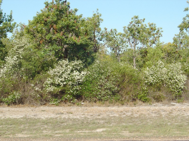 559 O’regan Creek Road, Toogoom QLD 4655