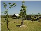 Sunshine Acres QLD 4655