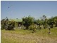 Sunshine Acres QLD 4655