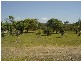 Sunshine Acres QLD 4655