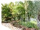 56 Hythe Street, Pialba QLD 4655
