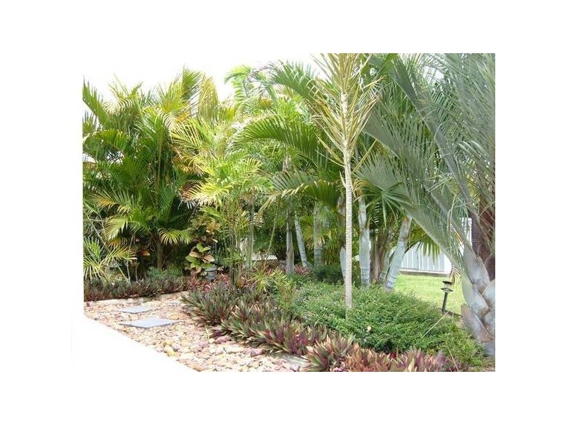 56 Hythe Street, Pialba QLD 4655
