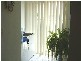 56 Hythe Street, Pialba QLD 4655