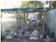 Urangan QLD 4655