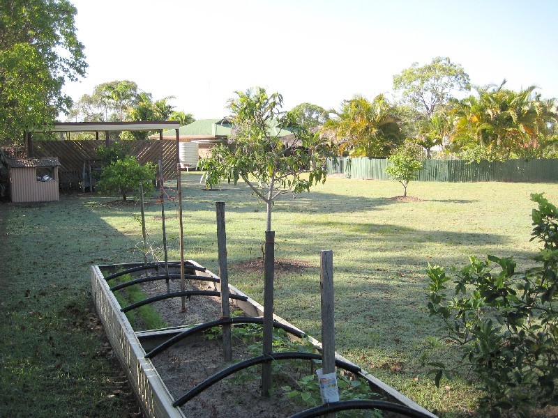 Urangan QLD 4655