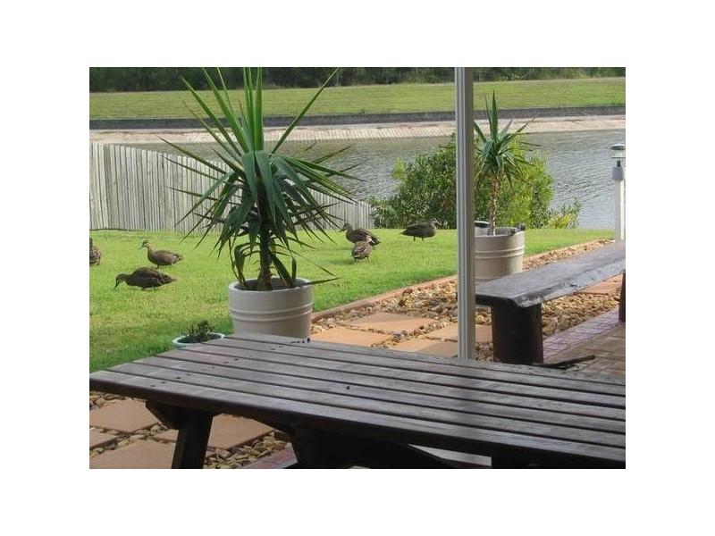 Eli Waters QLD 4655