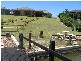Eli Waters QLD 4655