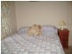 Urangan QLD 4655