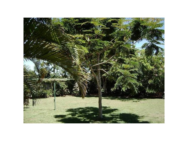 44 Spence Street, Point Vernon QLD 4655