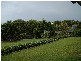 11 Maike Drive, Urraween QLD 4655