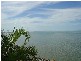 Urangan QLD 4655