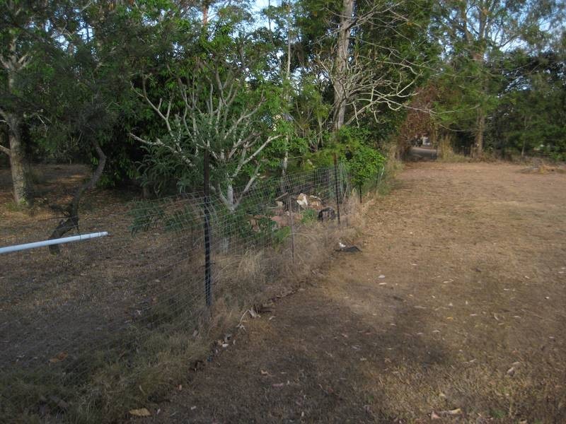 36 Neils Street, Pialba QLD 4655