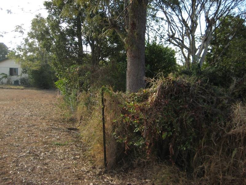 36 Neils Street, Pialba QLD 4655