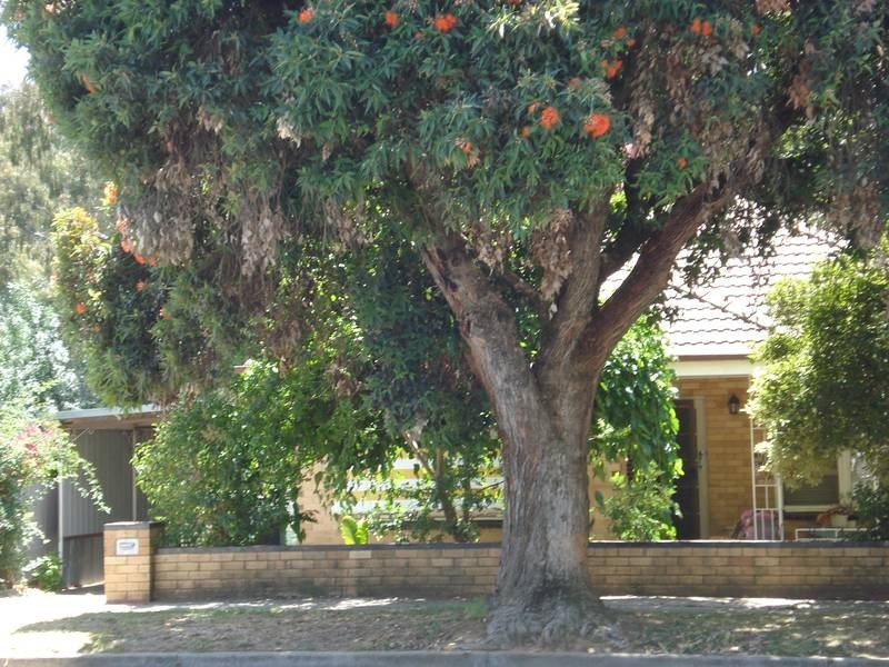 54 Templeton Street, Wangaratta VIC 3677