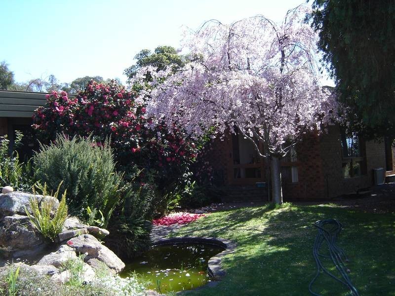 Wangaratta South VIC 3678