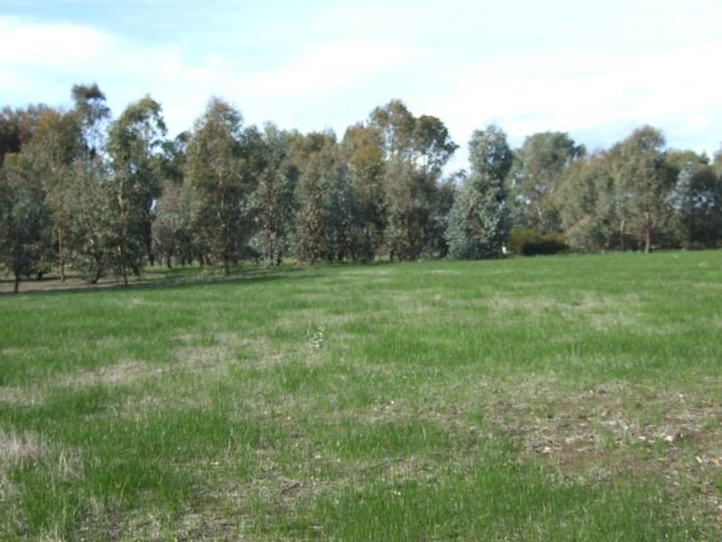 Peechelba VIC 3678