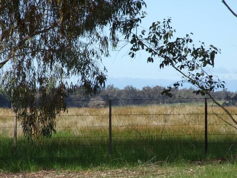 Peechelba VIC 3678