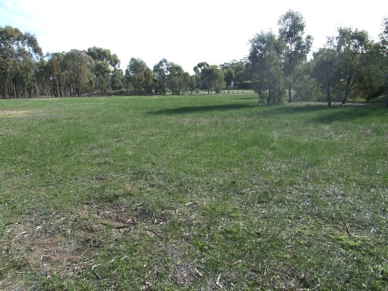 Peechelba VIC 3678
