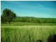 Greta West VIC 3675