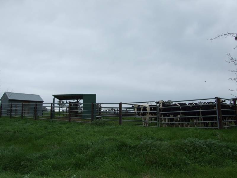 34 SIMPSONS LANE, Moyhu VIC 3732