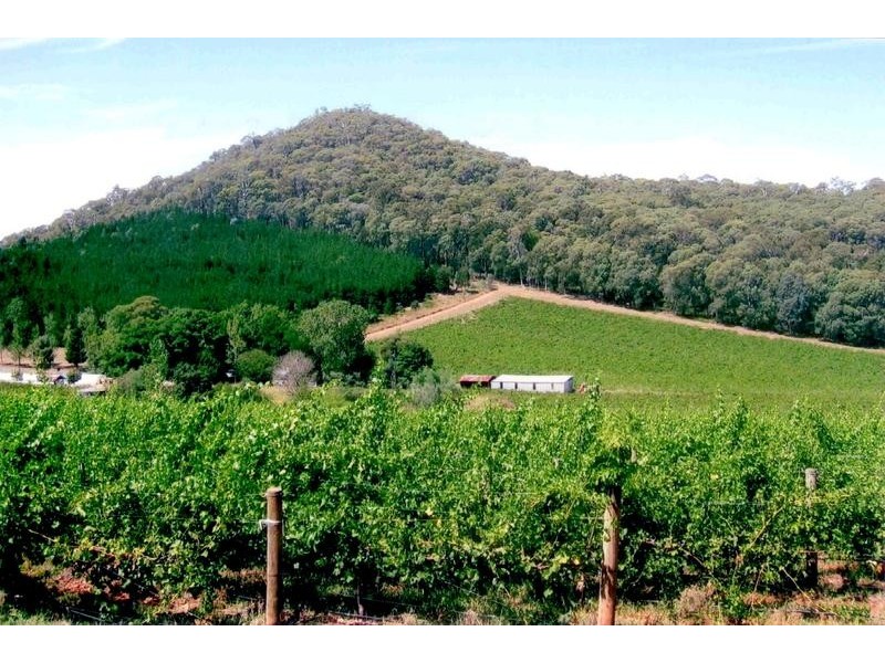 5640 Mansfield-Whitfield Road, Whitlands VIC 3733