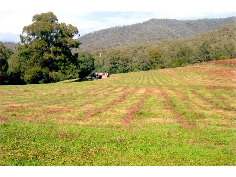 5640 Mansfield-Whitfield Road, Whitlands VIC 3733