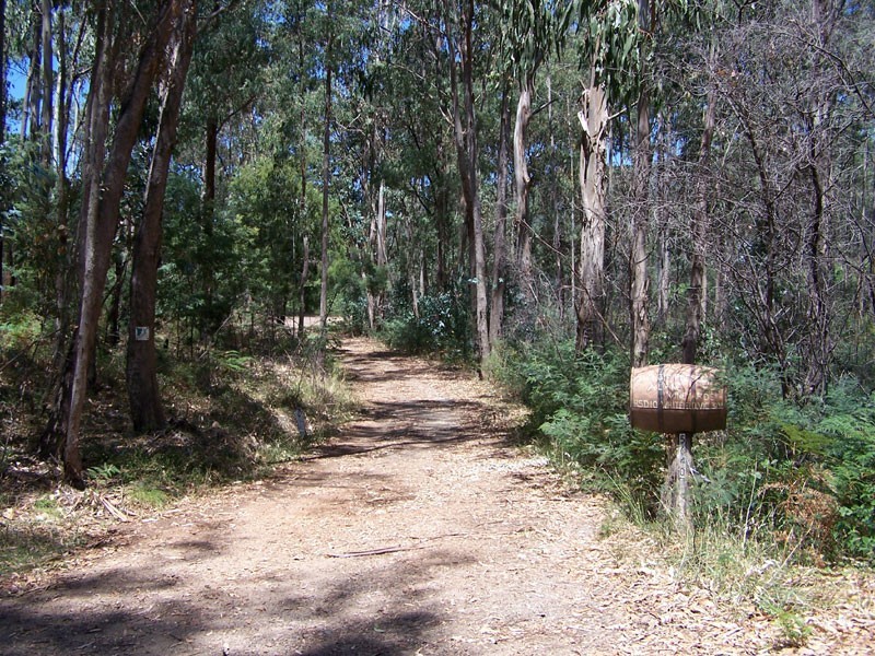 5640 Mansfield-Whitfield Road, Whitlands VIC 3733
