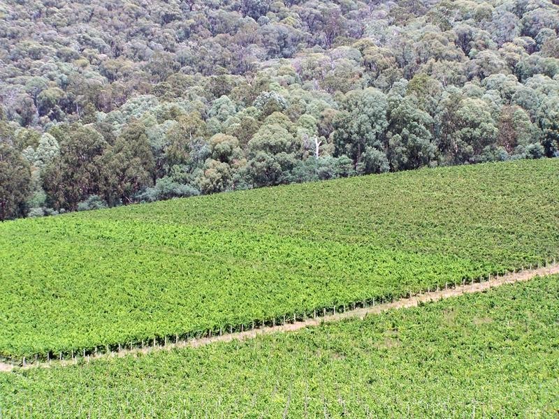 5640 Mansfield-Whitfield Road, Whitlands VIC 3733