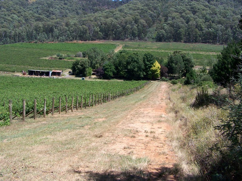 5640 Mansfield-Whitfield Road, Whitlands VIC 3733