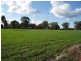 Wangaratta VIC 3677