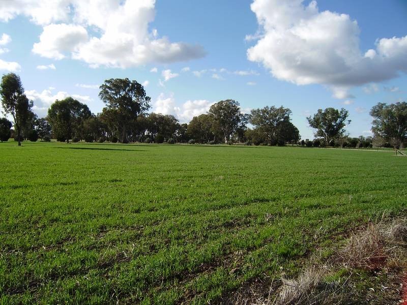 Wangaratta VIC 3677