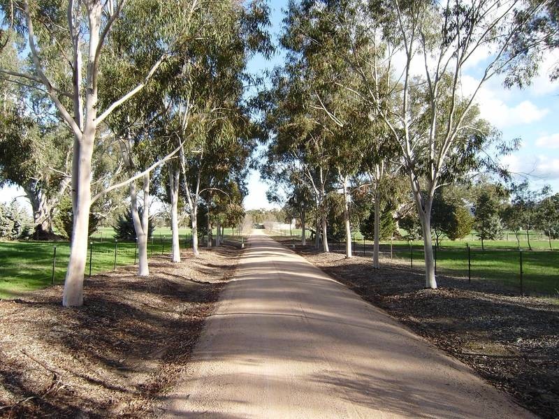 Wangaratta VIC 3677