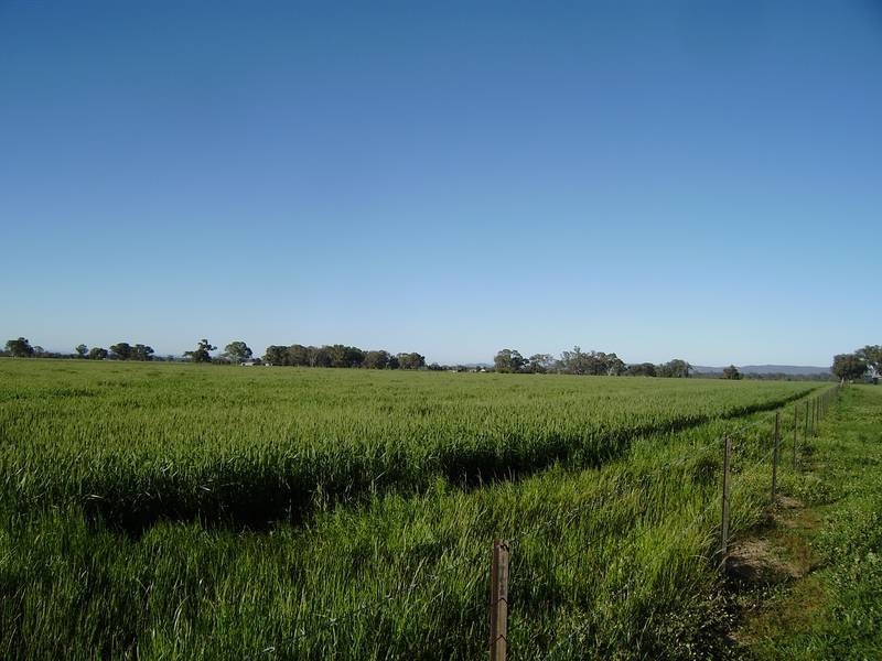 Wangaratta VIC 3677