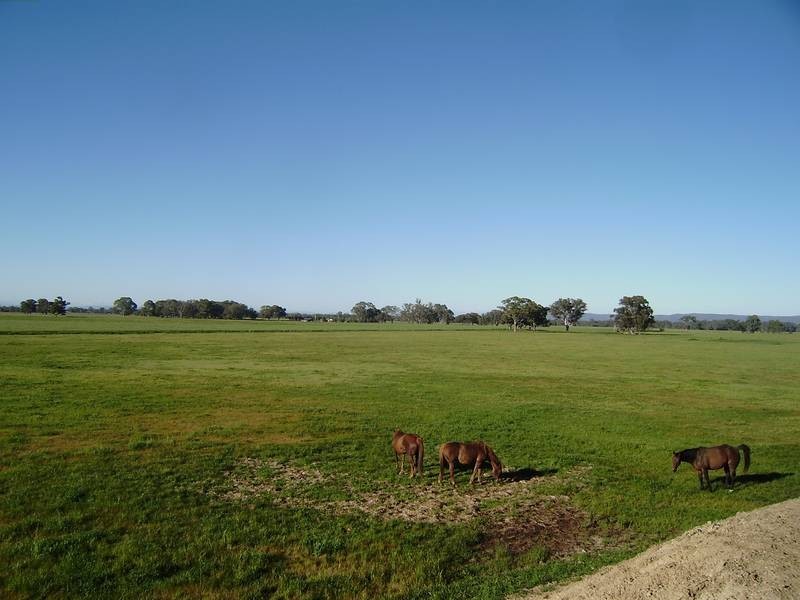 Wangaratta VIC 3677