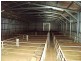 Killawarra VIC 3678