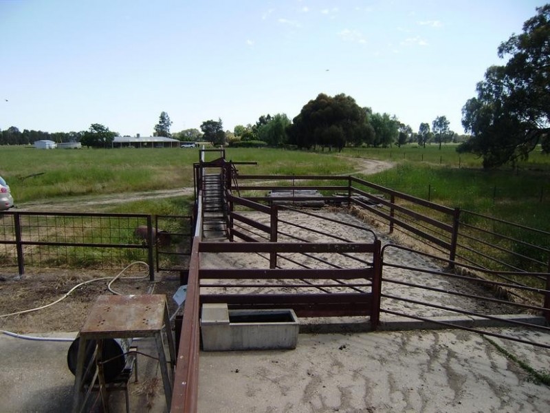 Tarrawingee VIC 3678