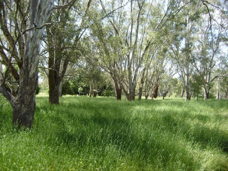 Tarrawingee VIC 3678