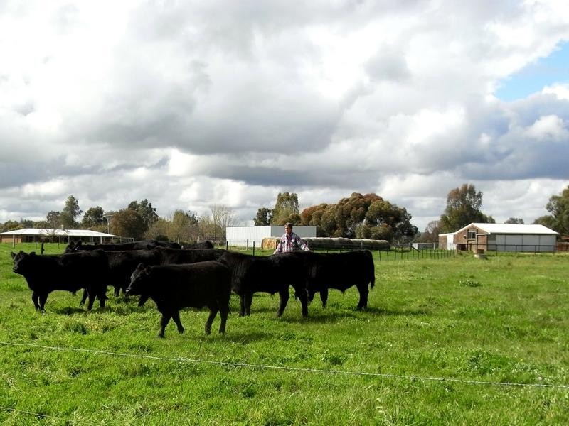 Tarrawingee VIC 3678