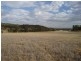 Wangaratta VIC 3677