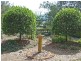 Glenrowan VIC 3675